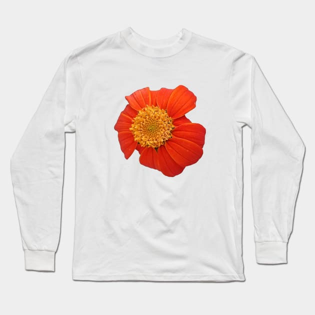 Red Sunflower Yellow and Green Close Up Long Sleeve T-Shirt by DesignMore21